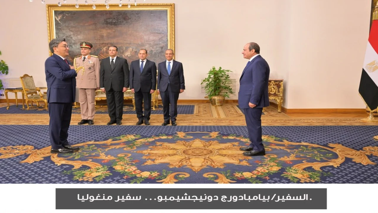 المتحدث الرئاسي يشارك صور اعتماد 17 سفيرًا جديدًا في مصر